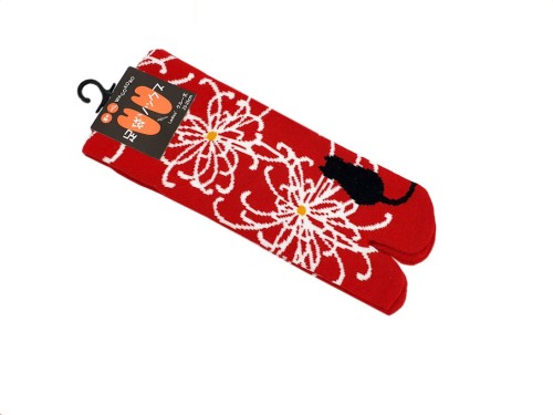 skarpetki tabi z kotkiem patrzącym na chryzantemy