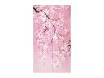 Noren Sakura