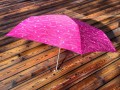 parasolka japonska