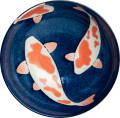Koi 41203_1.png