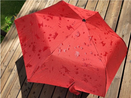 składana parasolka