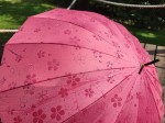 Parasol sakura czerwony